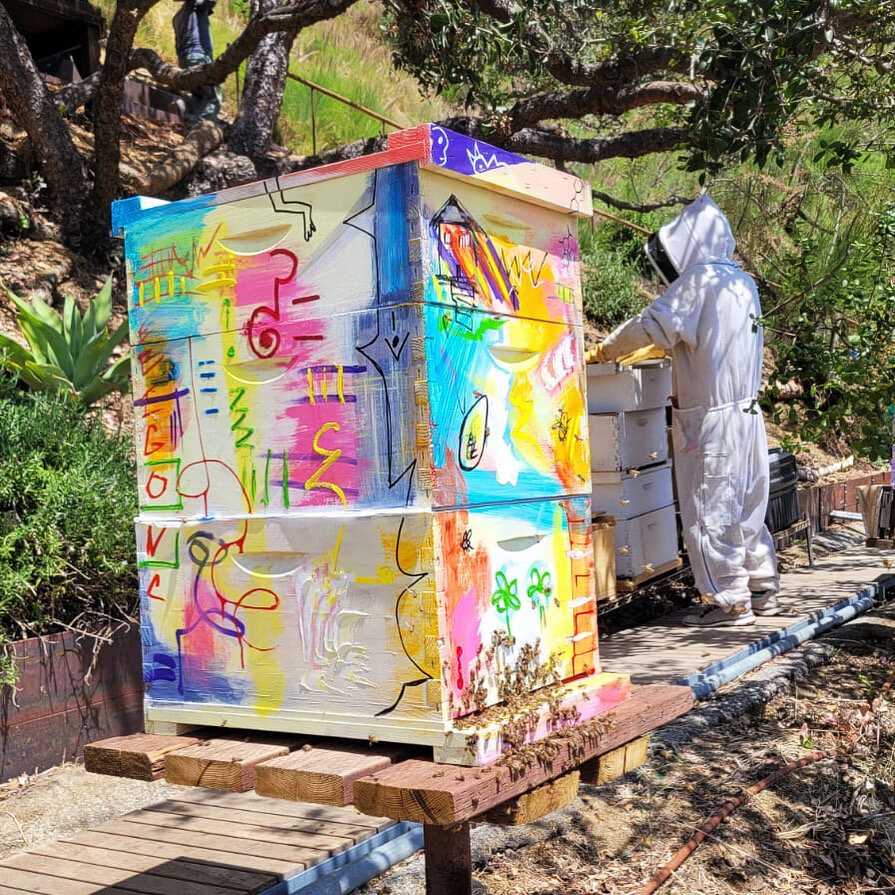 Beecasso bee box in outdoor setting