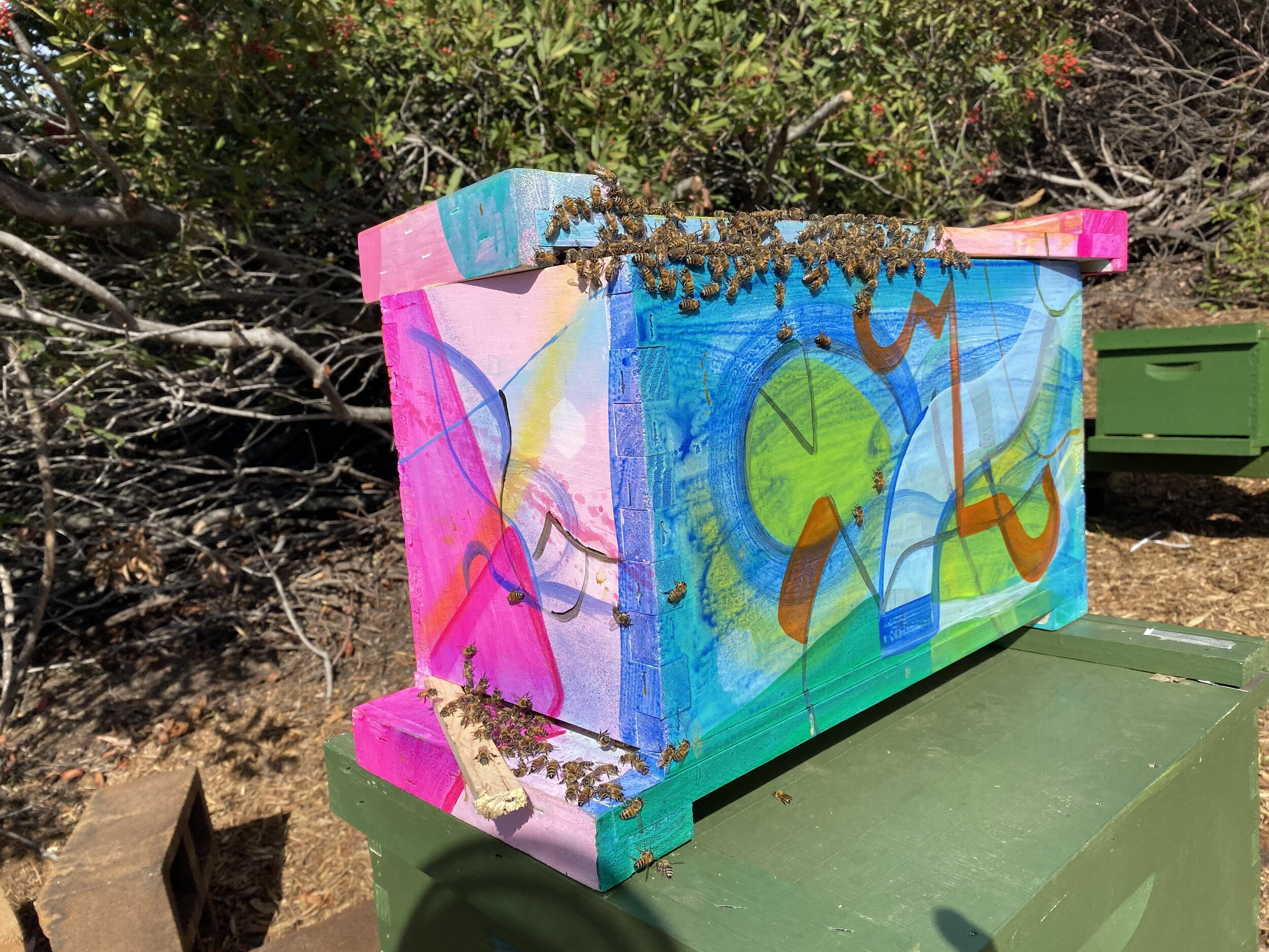Vibrant blue and pink painted box covered in live bees
