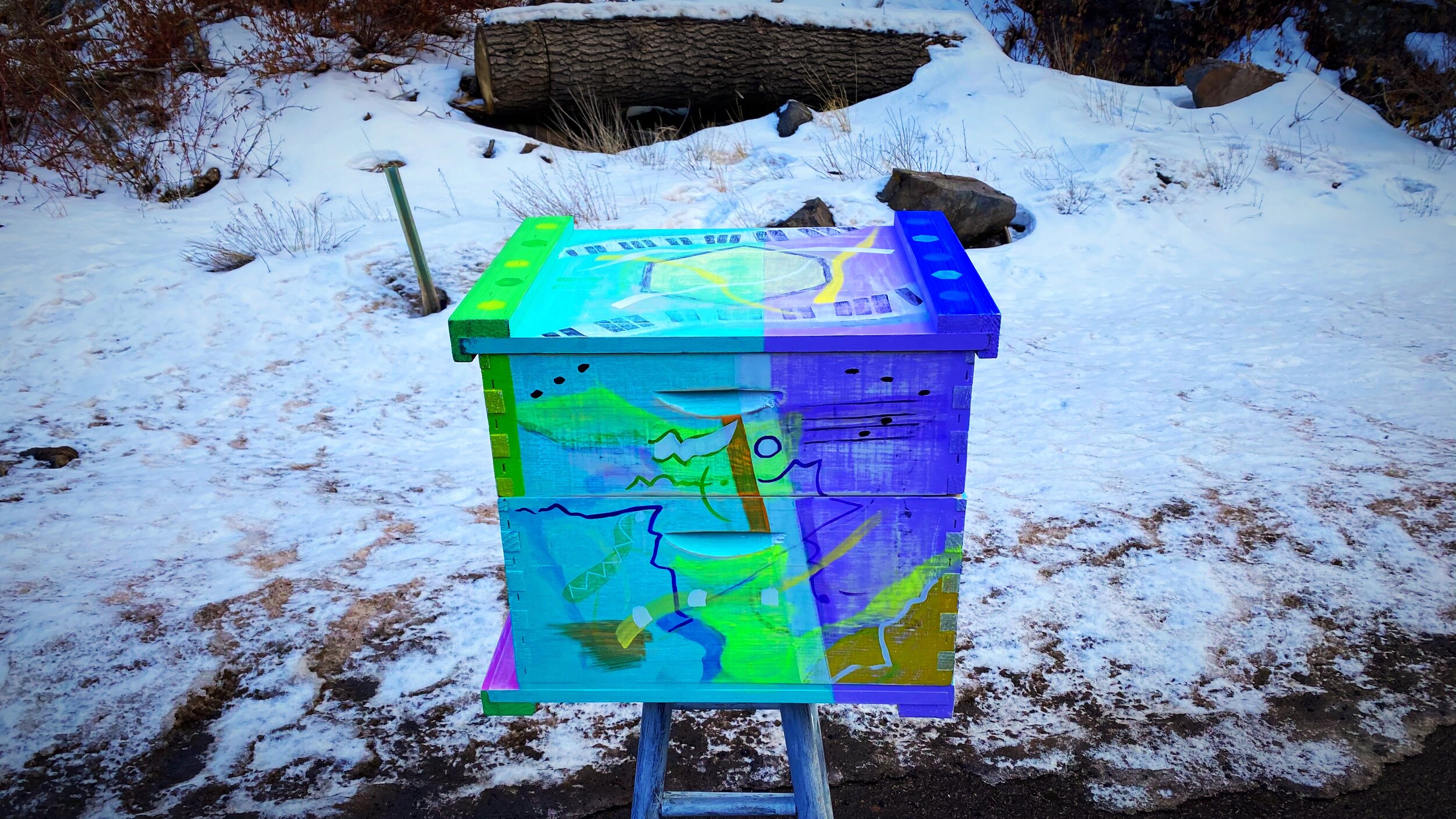 Hand-painted bee box in snow at Steve's private sanctuary