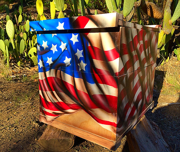 Hand-painted bee box abstract expressionist