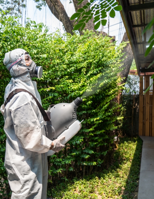 Professional bee removal technician in full protective equipment